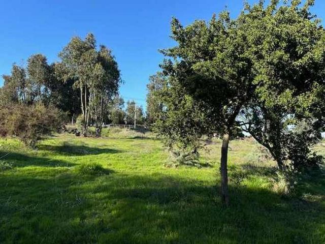 Vista al mar en Boldos de santa Adela