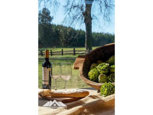 Casa en arriendo en Villarrica sector Colegio Oxford