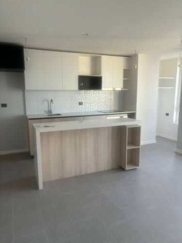 Hermoso departamento 2 Dormitorios Concepción Centro.