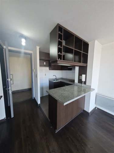 DEPARTAMENTO Metro Ñuble (Diagonal Vicuña Mackenna 2004)