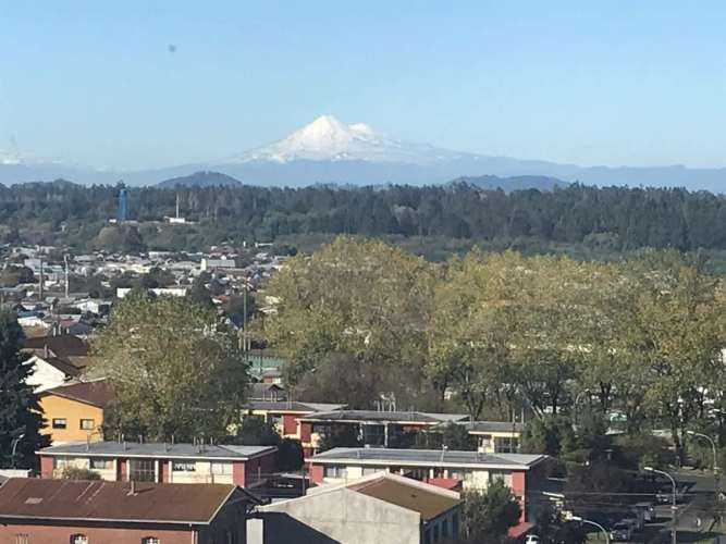 OFICINA Edificio Telar