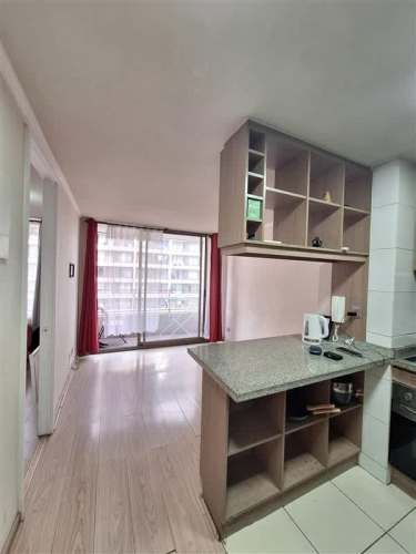 DEPARTAMENTO Radal 0102, Estación Central