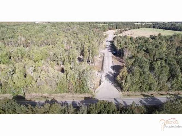 VENDE LOTE 5000 M2 SECTOR CORRENTOSO