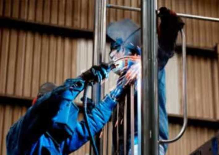 Maestro Armador Junior