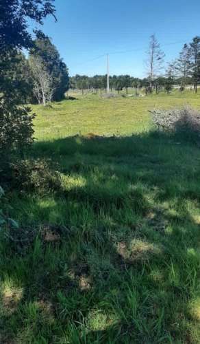 PARCELA   5,200  MTS.