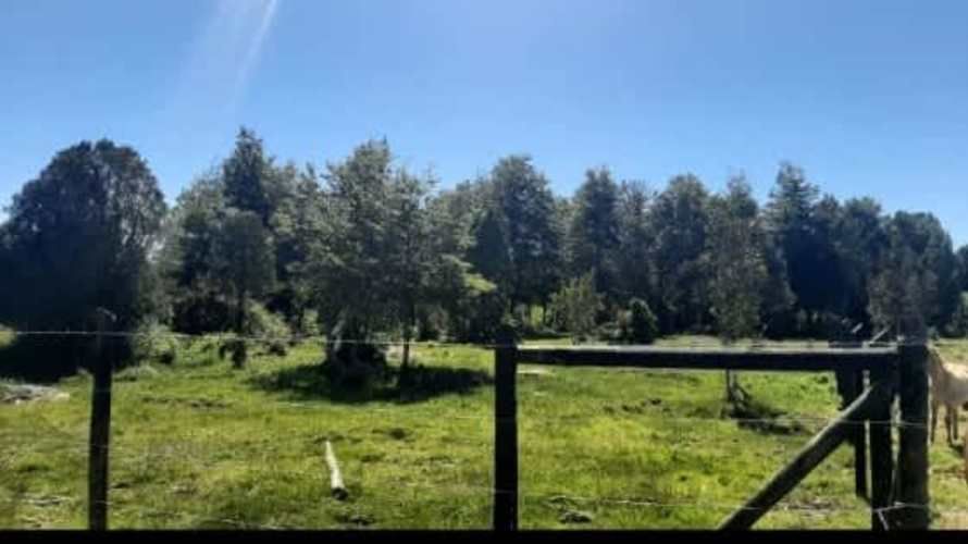 PARCELA   5,200  MTS.