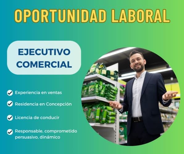 EJECUTIVO COMERCIAL - CONCEPCION