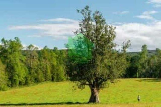 PARCELA Parcelación Doña Francisca