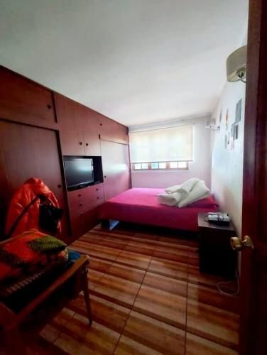 Parcela ISLA DE MAIPO