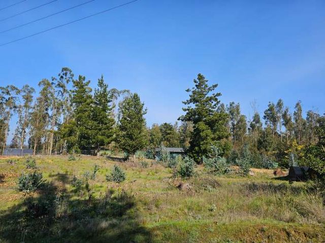 PARCELA EN ARRIENDO, EL TOTORAL, BOSQUE LAS LOMAS