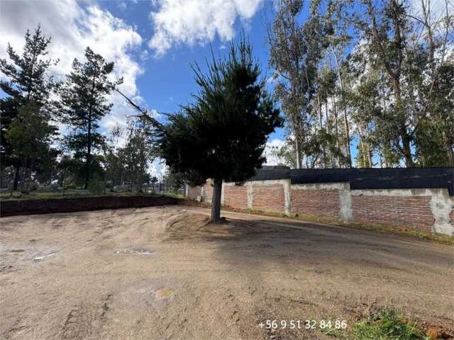 PARCELA EN ARRIENDO, EL TOTORAL, BOSQUE LAS LOMAS