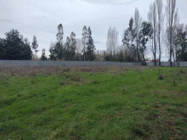 Hermoso Terreno Calidad Indígena