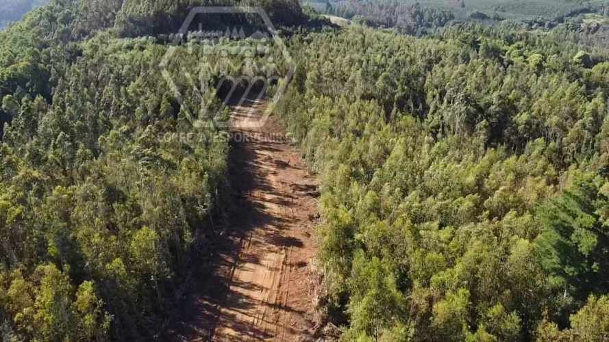 PARCELAS EN VENTA! SECTOR PUMALAL. VILCUN (136535)