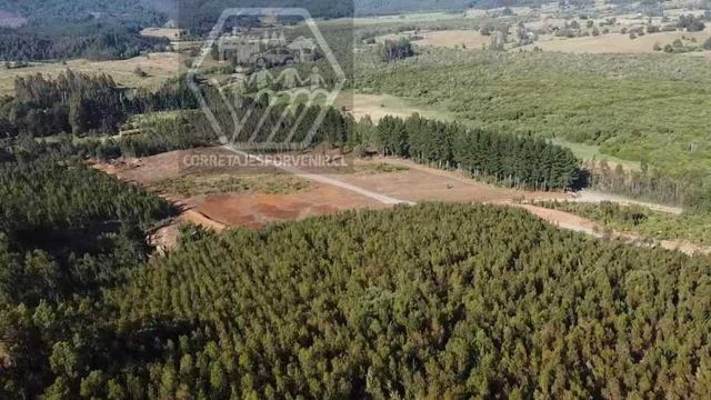 PARCELAS EN VENTA! SECTOR PUMALAL. VILCUN (136535)