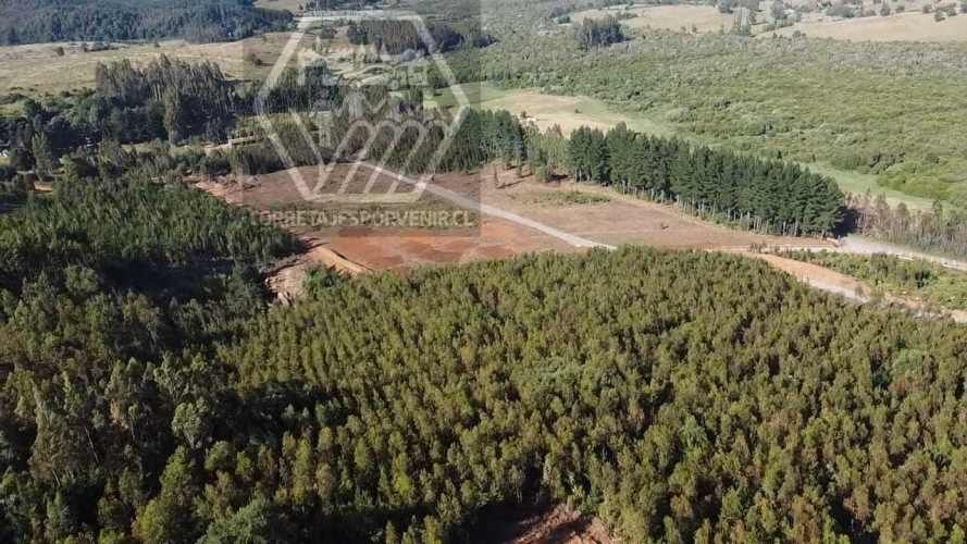 PARCELAS EN VENTA! SECTOR PUMALAL. VILCUN (136535)