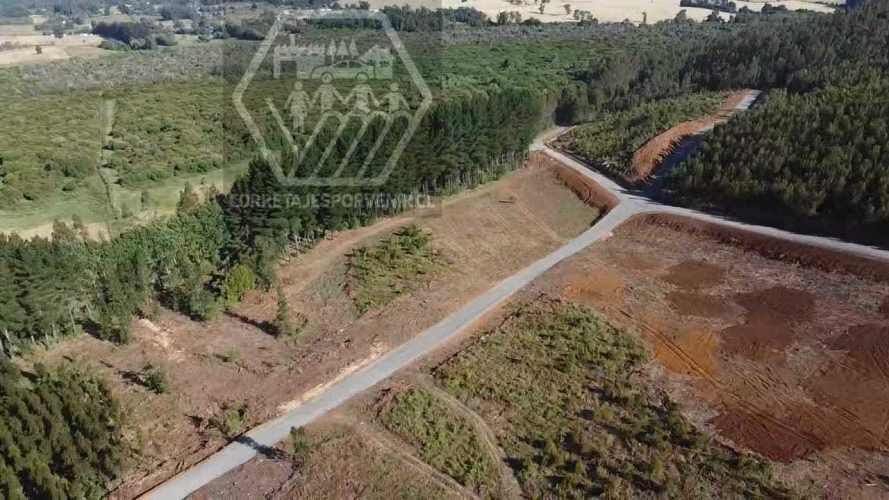 PARCELAS EN VENTA! SECTOR PUMALAL. VILCUN (136535)