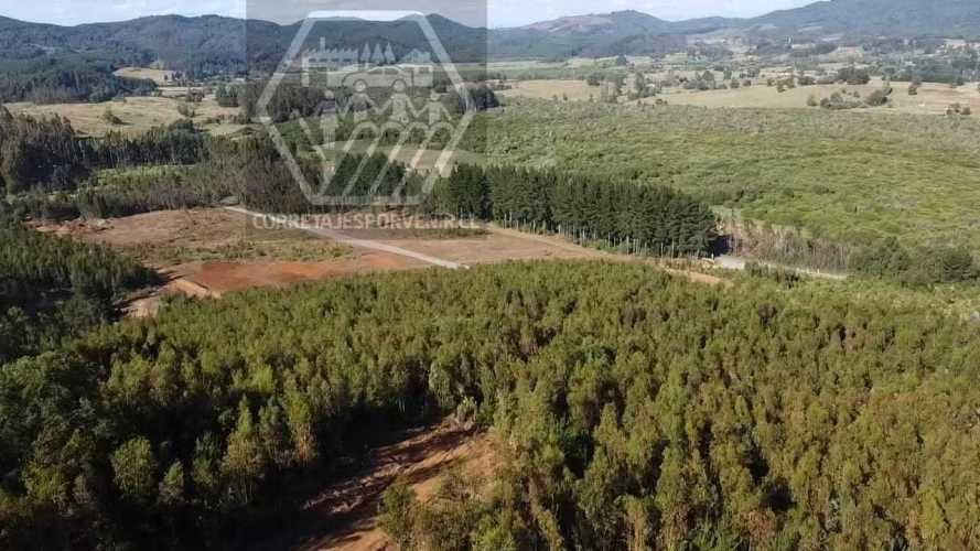 PARCELAS EN VENTA! SECTOR PUMALAL. VILCUN (136535)