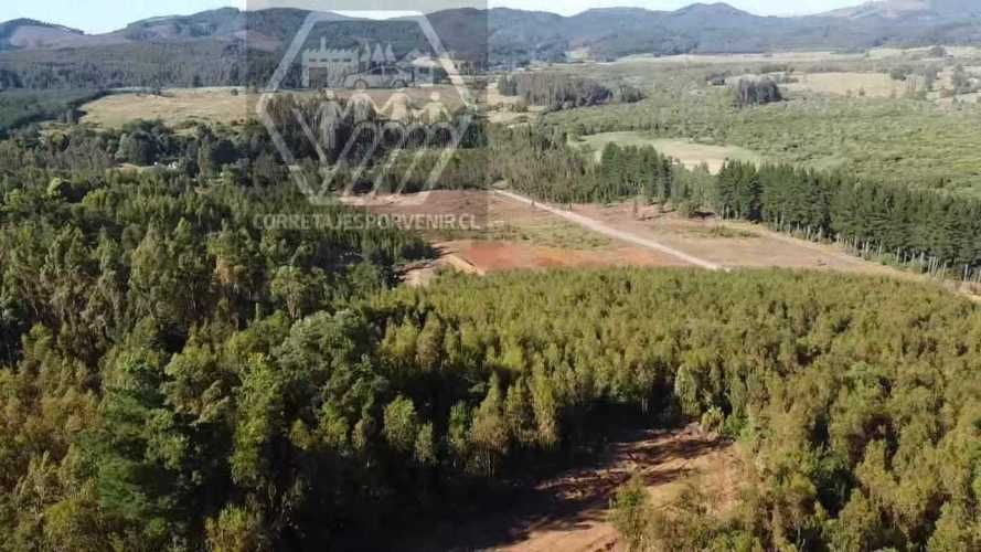 PARCELAS EN VENTA! SECTOR PUMALAL. VILCUN (136535)