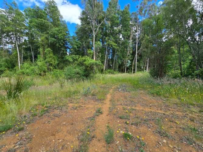 Cabaña en Venta en Parcela de 5.000 m² – Sector Chancoyán Alto