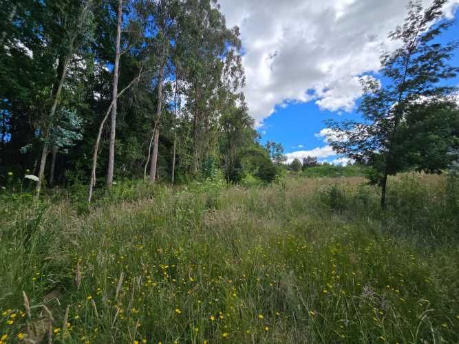 Cabaña en Venta en Parcela de 5.000 m² – Sector Chancoyán Alto