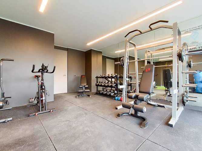 Colón 6435 [2805-1]