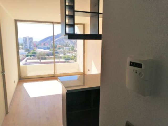 Los Carrera 1131 (1 Est ) [521-1]