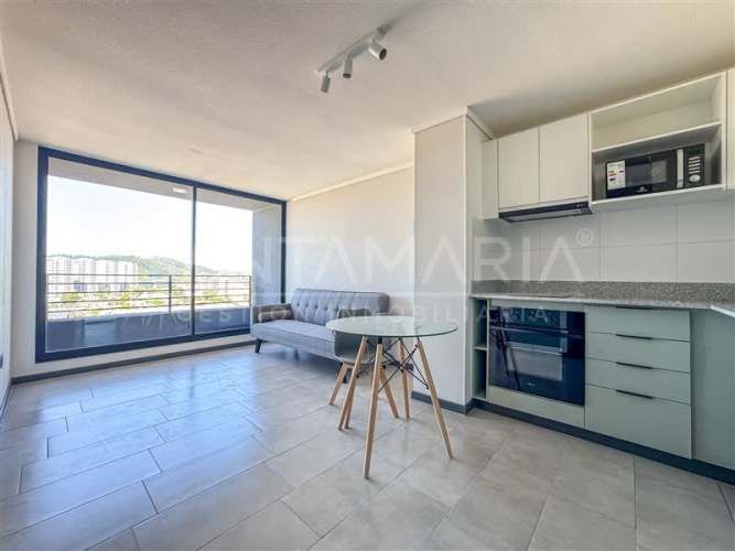 DEPARTAMENTO Lientur, Concepción