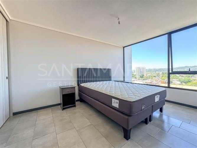 DEPARTAMENTO Lientur, Concepción