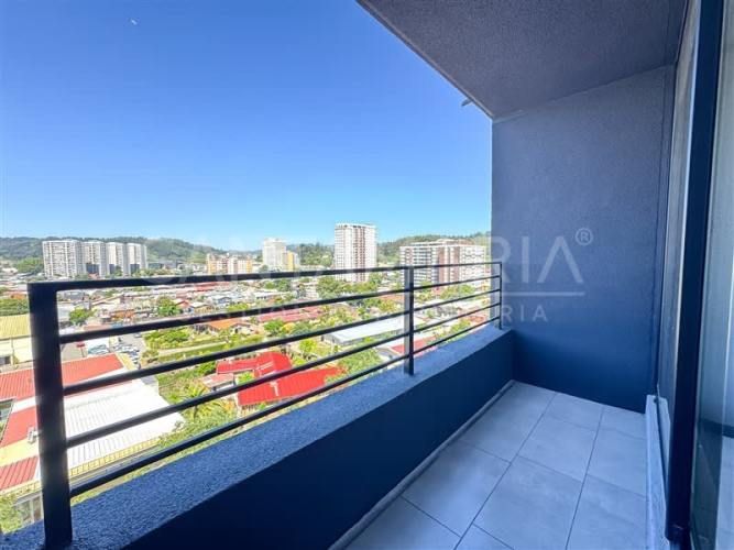 DEPARTAMENTO Lientur, Concepción