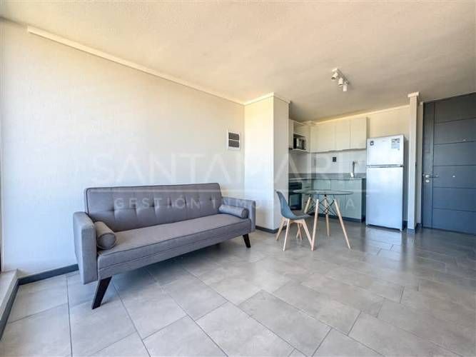 DEPARTAMENTO Lientur, Concepción