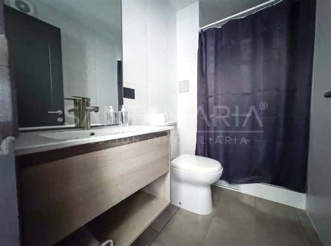 DEPARTAMENTO Lientur, Concepción