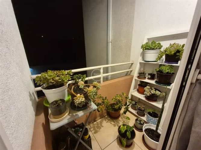 DEPARTAMENTO La Serena