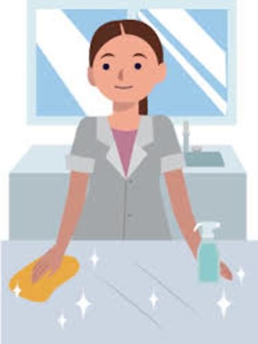 Asesora del hogar, Chicureo, Colina