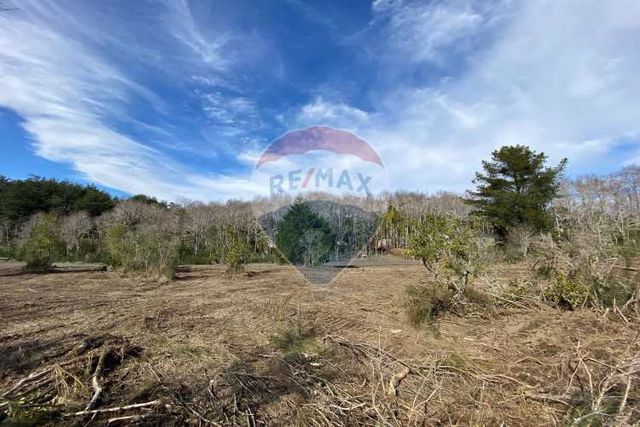 Parcela en venta hacienda santa valentina-pucón
