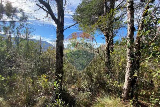 Parcela en venta hacienda santa valentina-pucón