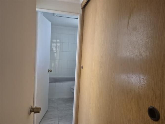 CASA Amadeus casarino