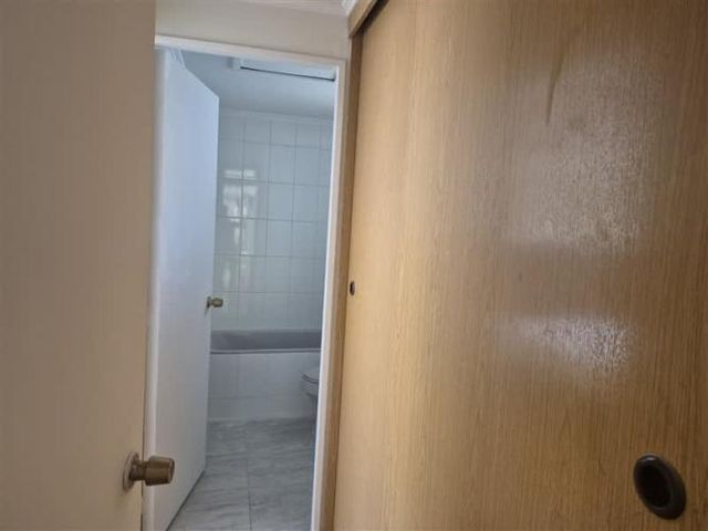 CASA Amadeus casarino