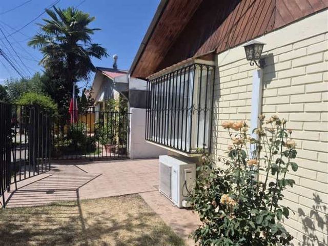 CASA Amadeus casarino