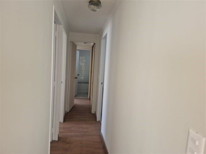 CASA Amadeus casarino