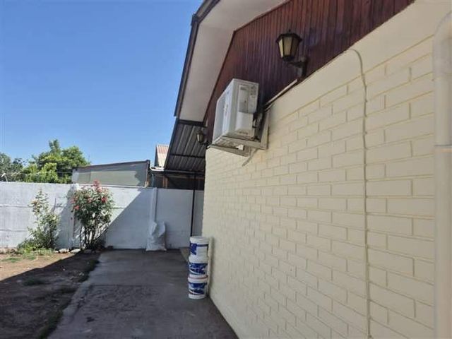 CASA Amadeus casarino