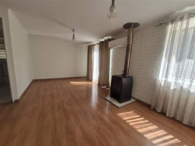 CASA Amadeus casarino