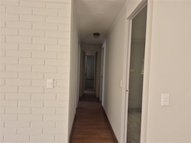 CASA Amadeus casarino