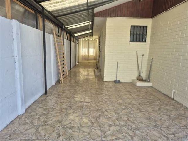 CASA Amadeus casarino