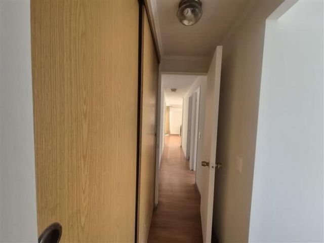 CASA Amadeus casarino