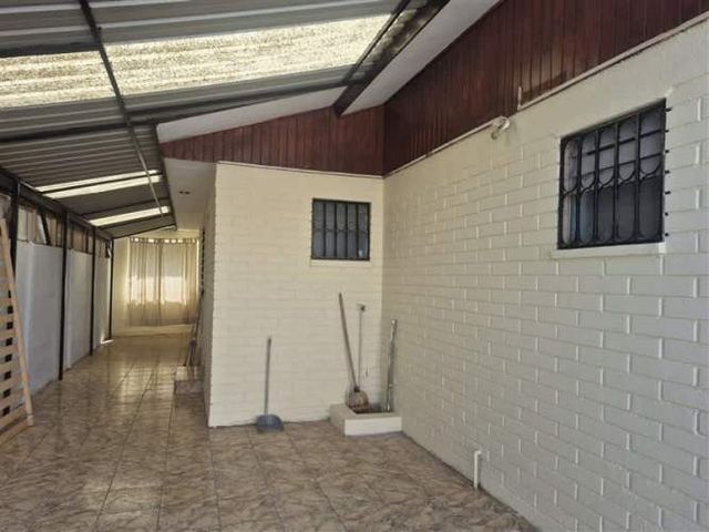 CASA Amadeus casarino