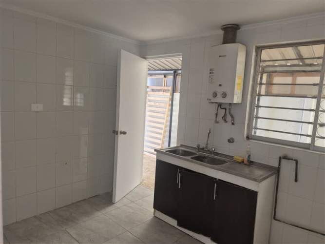 CASA Amadeus casarino