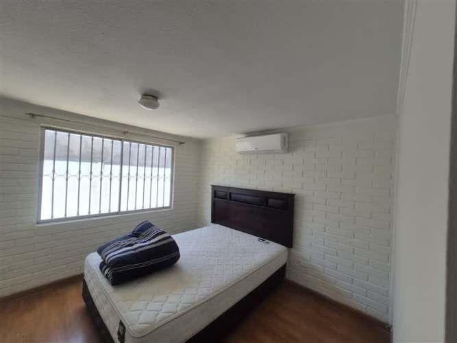 CASA Amadeus casarino