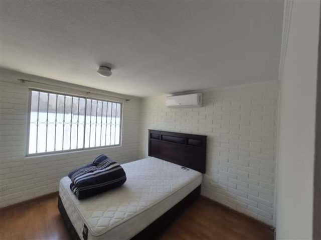 CASA Amadeus casarino