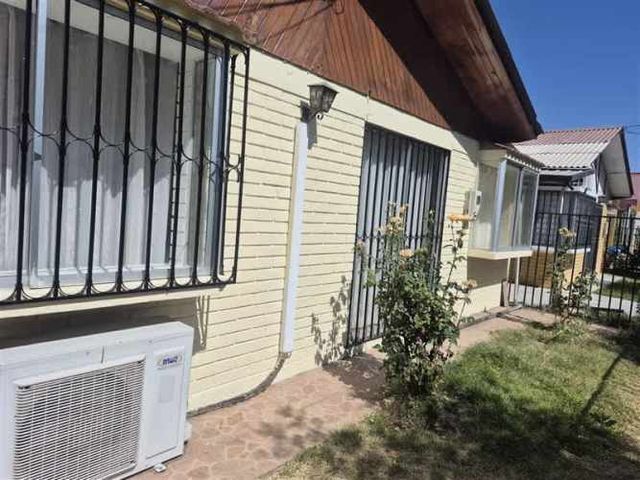 CASA Amadeus casarino