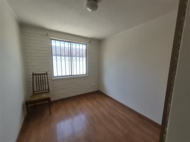 CASA Amadeus casarino